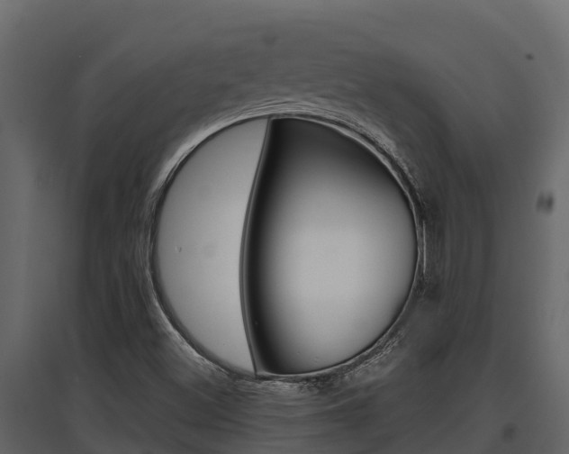 X0000097811500200803140747