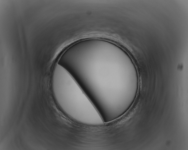 X0000097811501200803140747