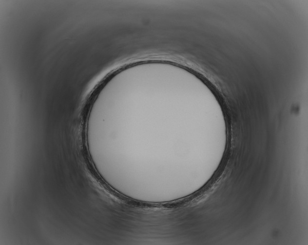 X0000097811502200803140747