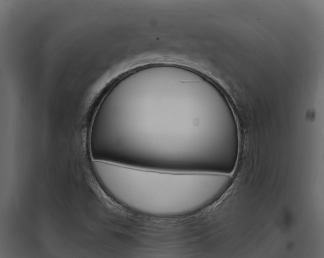 X0000097811503200803140747