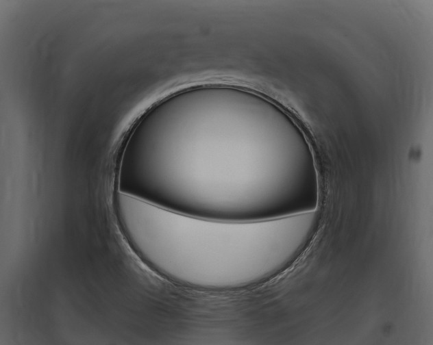 X0000097811504200803140747