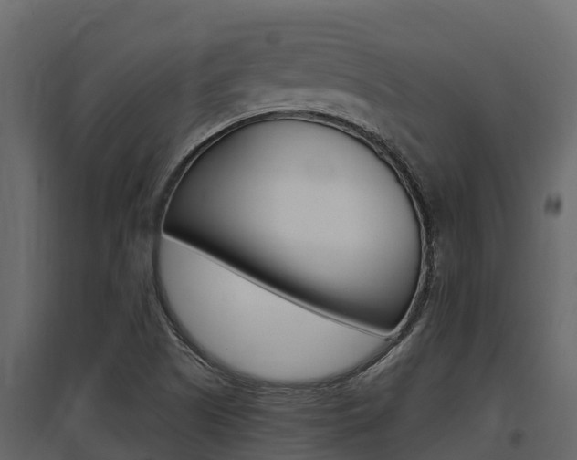 X0000097811505200803140747