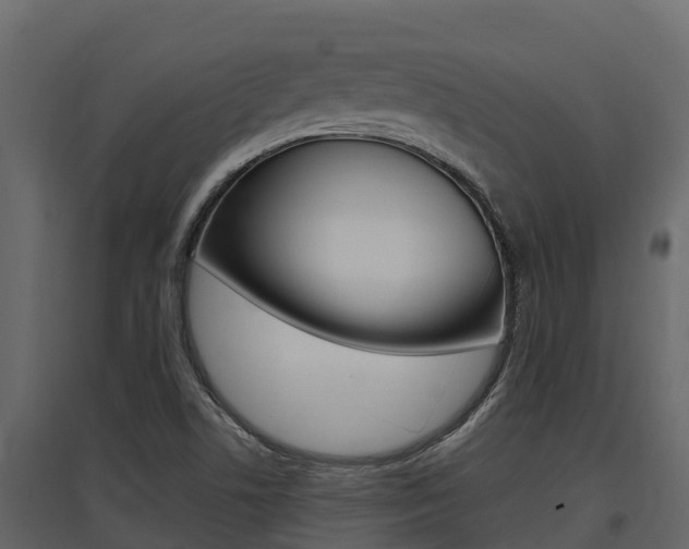 X0000097811506200803140747