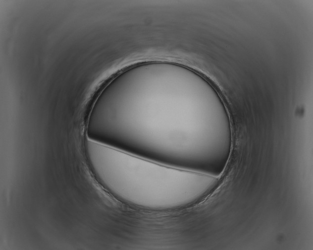 X0000097811507200803140747