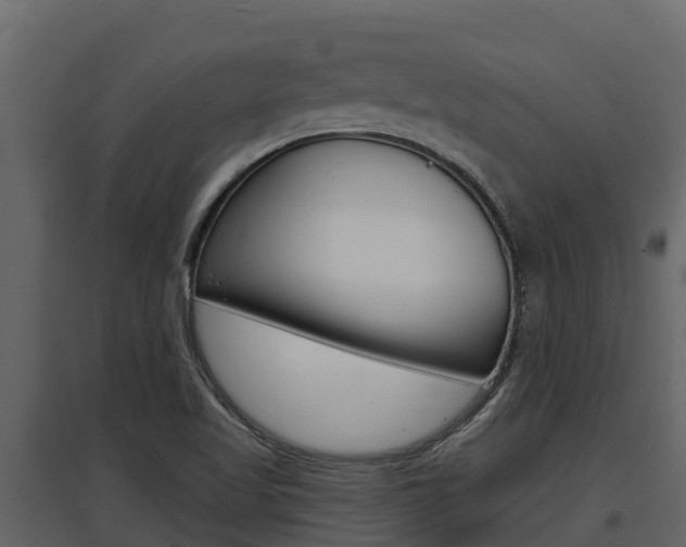 X0000097811509200803140747