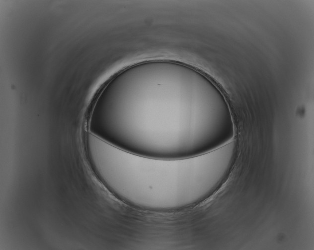 X0000097811510200803140747