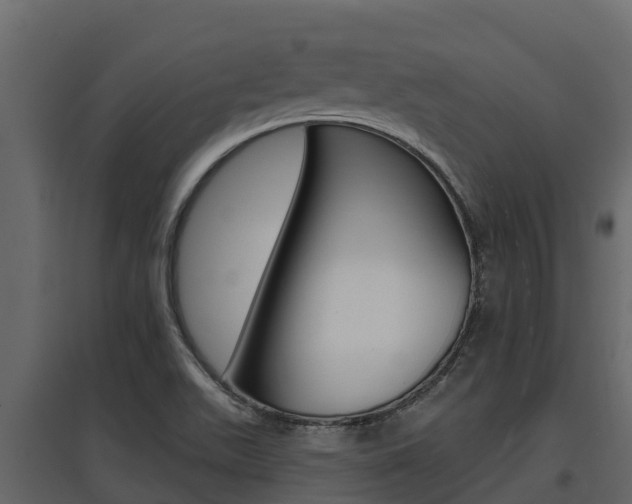 X0000097811511200803140747