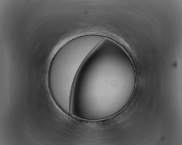 X0000097811512200803140747