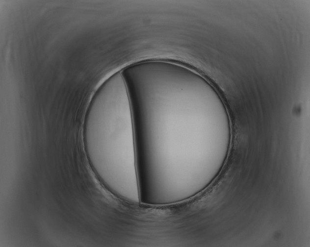 X0000097811513200803140747