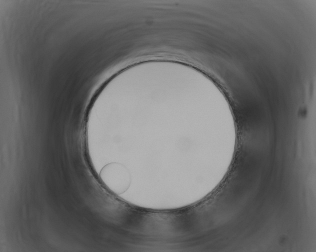 X0000097811514200803140747