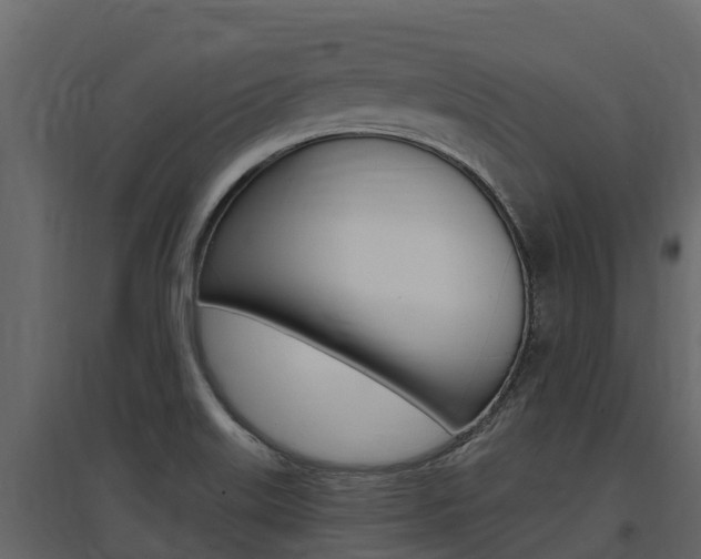 X0000097811515200803140747