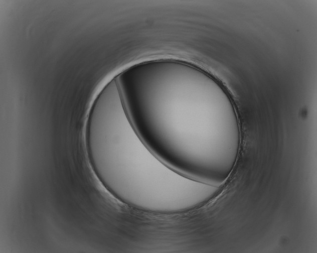 X0000097811516200803140747