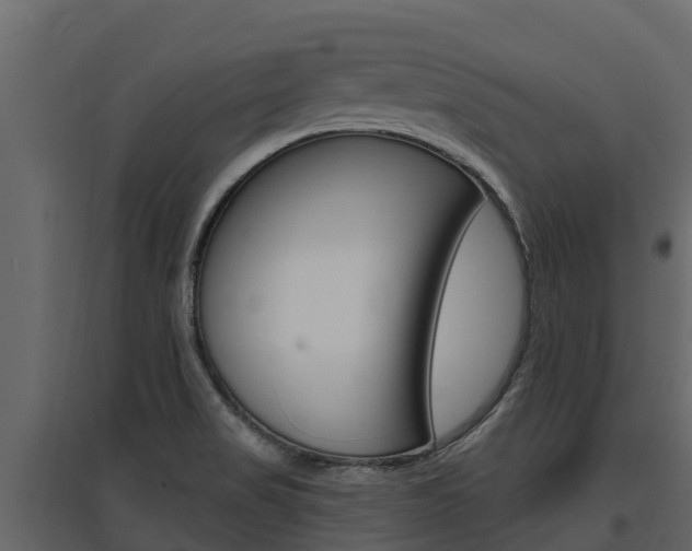 X0000097811517200803140747