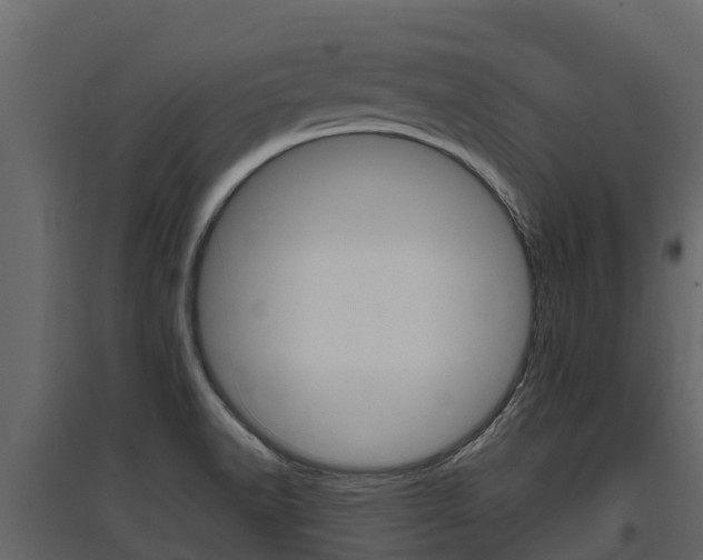 X0000097811518200803140747