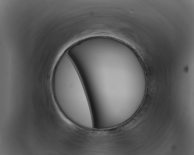 X0000097811519200803140747