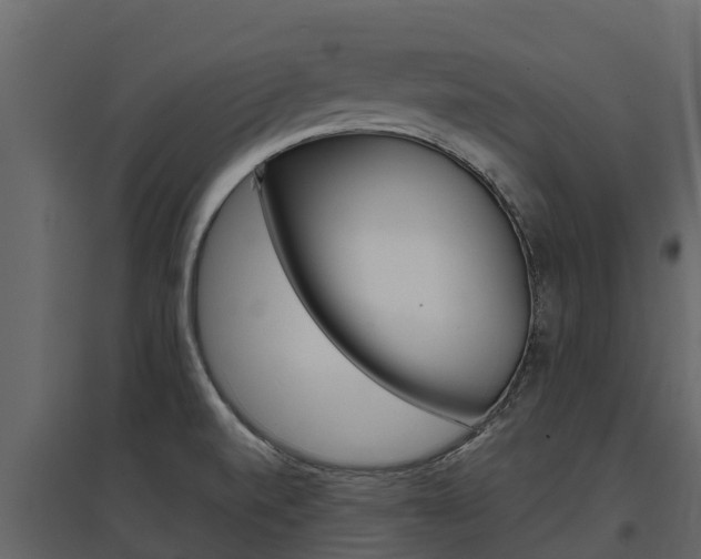 X0000097811520200803140747