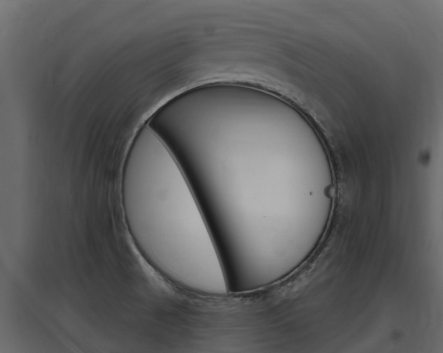 X0000097811521200803140747