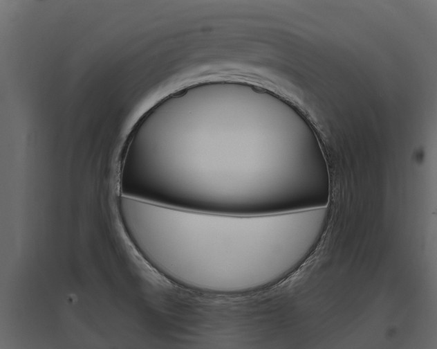 X0000097811522200803140747