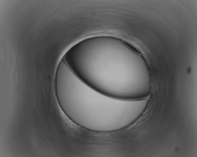 X0000097811524200803140747