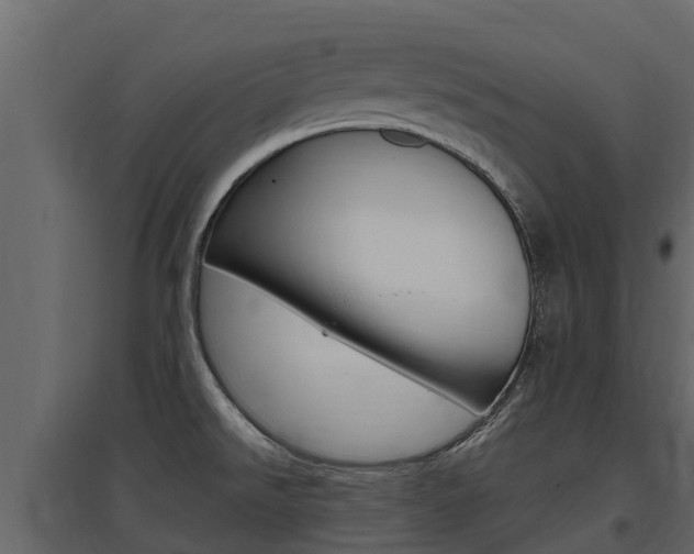 X0000097811526200803140747