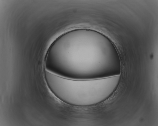 X0000097811527200803140747