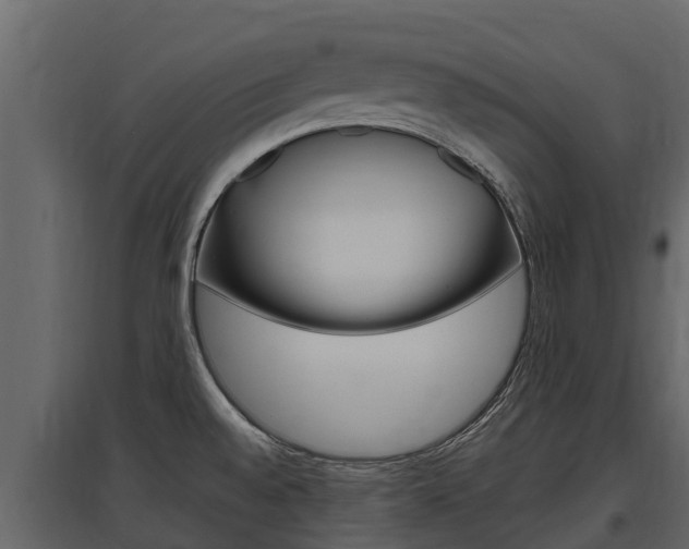X0000097811528200803140747