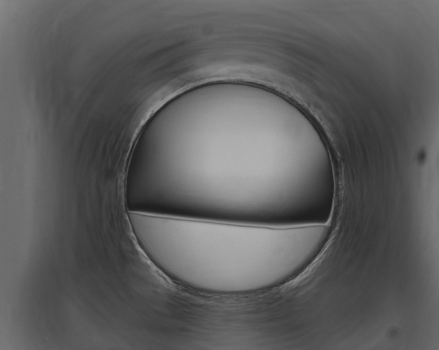 X0000097811529200803140747