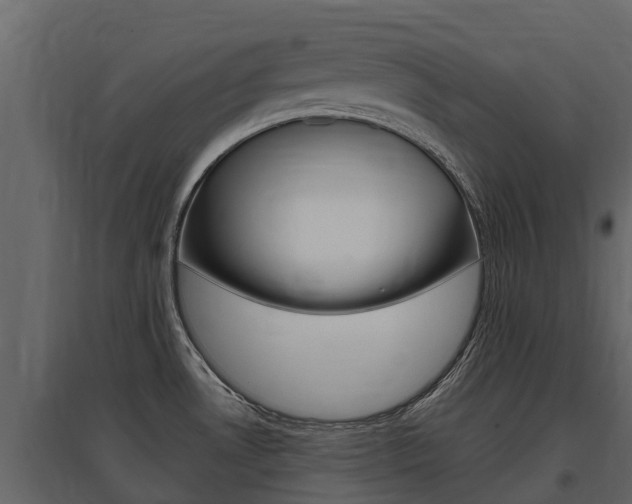 X0000097811530200803140747