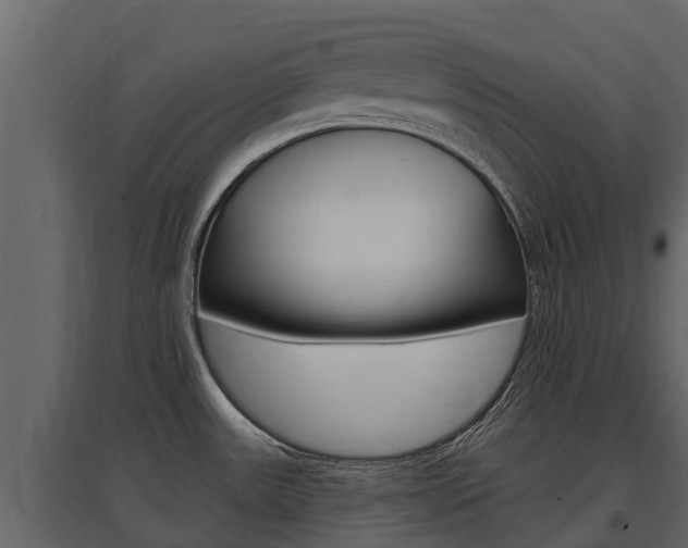 X0000097811531200803140747