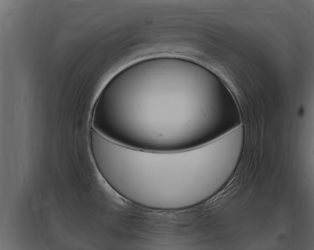 X0000097811532200803140747