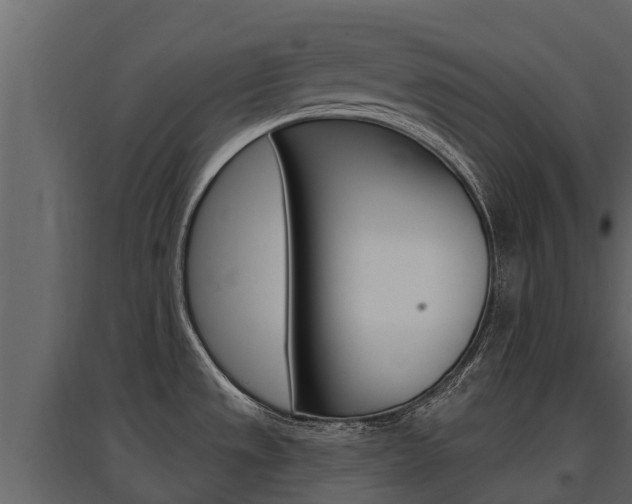 X0000097811533200803140747