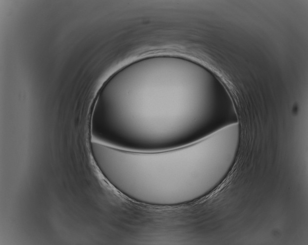 X0000097811534200803140747