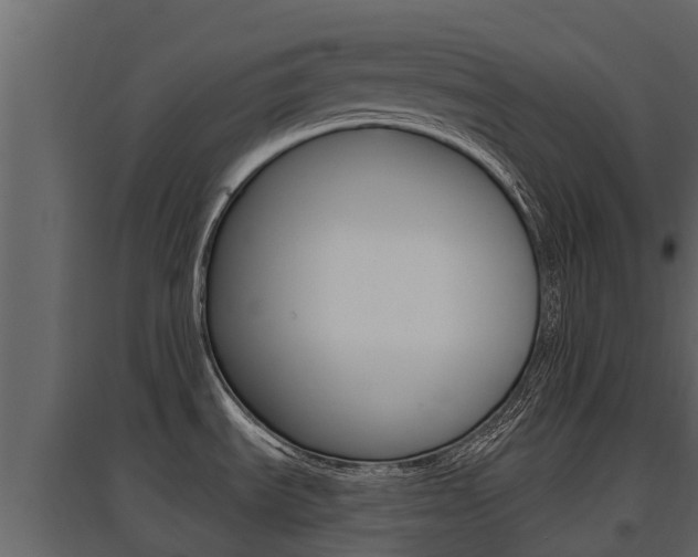 X0000097811535200803140747