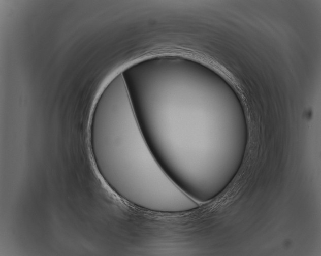 X0000097811536200803140747