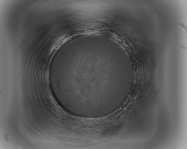 X0000097810002200803141129