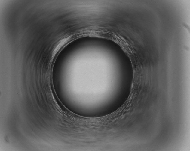 X0000097810003200803141129