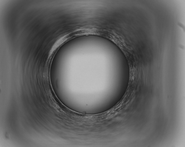X0000097810004200803141129