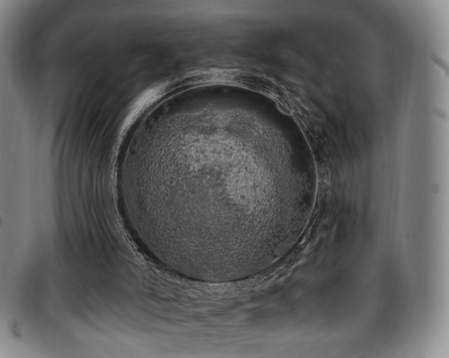 X0000097810006200803141129