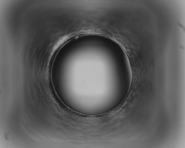 X0000097810008200803141129