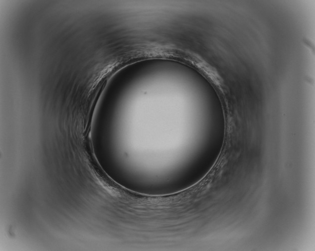 X0000097810009200803141129