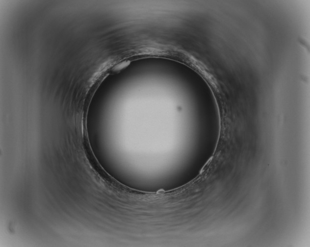 X0000097810011200803141129