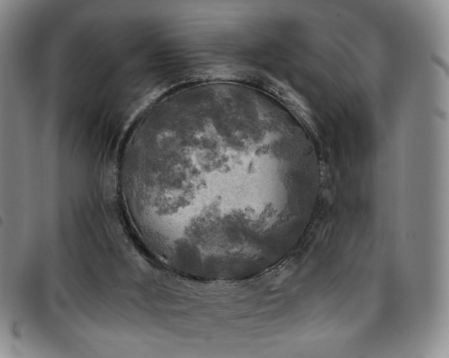 X0000097810012200803141129