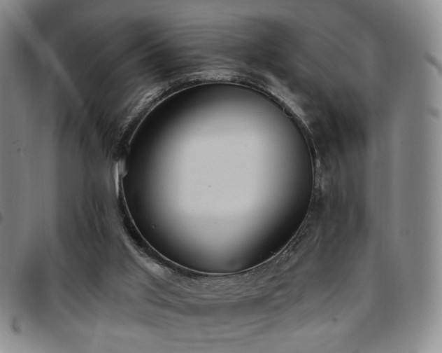 X0000097810013200803141129