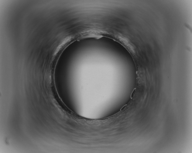 X0000097810015200803141129