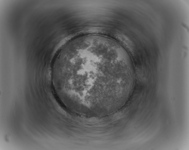 X0000097810016200803141129