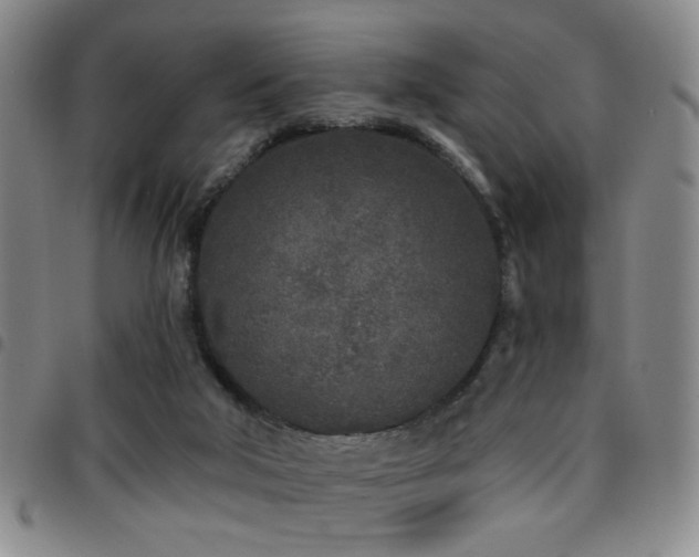 X0000097810018200803141129