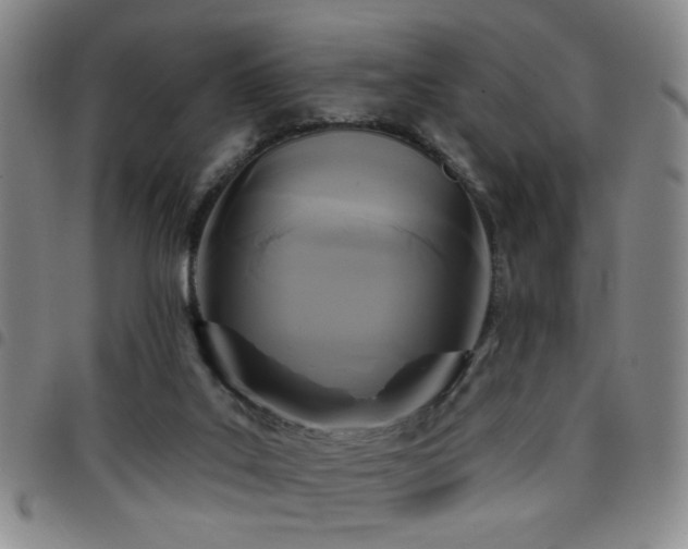 X0000097810019200803141129