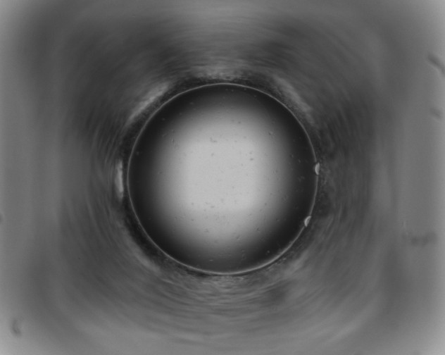 X0000097810020200803141129