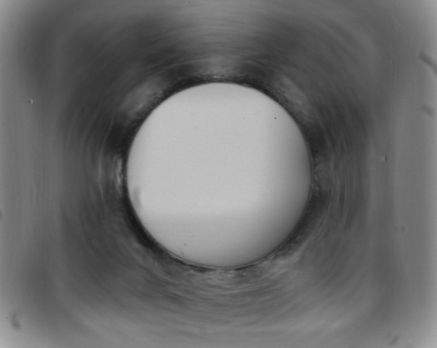 X0000097810024200803141128
