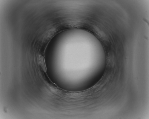 X0000097810025200803141128